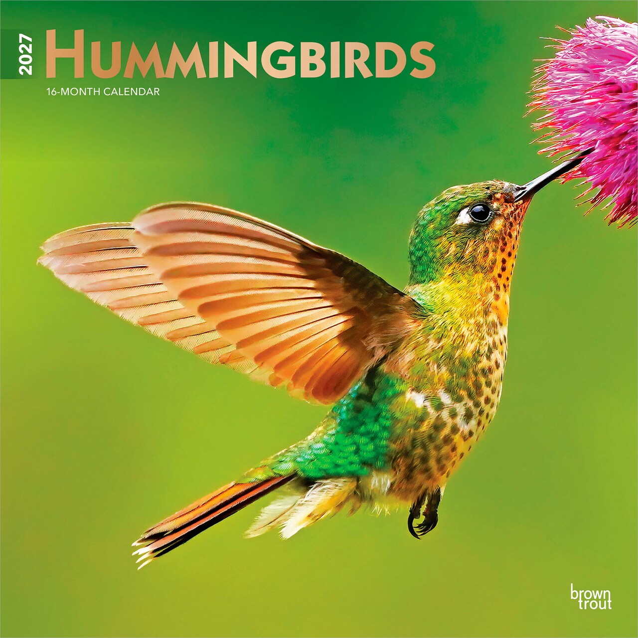 Hummingbirds | 2027 12 x 24 Inch (Hanging) Monthly Square Wall Calendar | Foil Stamped Cover | Plastic-Free